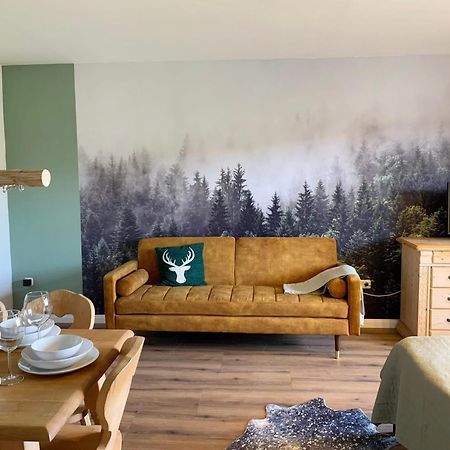 Lindners Hideaways - Bergnest Lodge - Bergblick Fewo 6 Pers Balkon Garten Hund Ski Unterkunft Luftkurort Oberreute Naehe Buchenegger Wasserfaelle Eistobel Bodensee 외부 사진