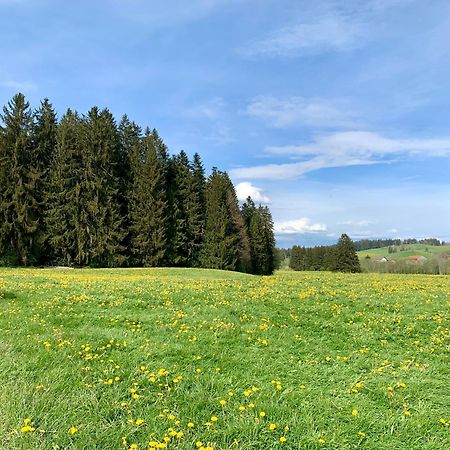 Lindners Hideaways - Bergnest Lodge - Bergblick Fewo 6 Pers Balkon Garten Hund Ski Unterkunft Luftkurort Oberreute Naehe Buchenegger Wasserfaelle Eistobel Bodensee 외부 사진