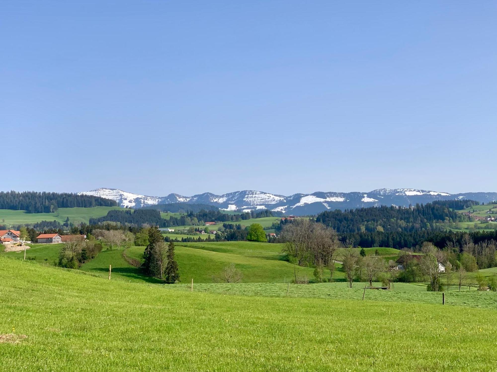 Lindners Hideaways - Bergnest Lodge - Bergblick Fewo 6 Pers Balkon Garten Hund Ski Unterkunft Luftkurort Oberreute Naehe Buchenegger Wasserfaelle Eistobel Bodensee 외부 사진