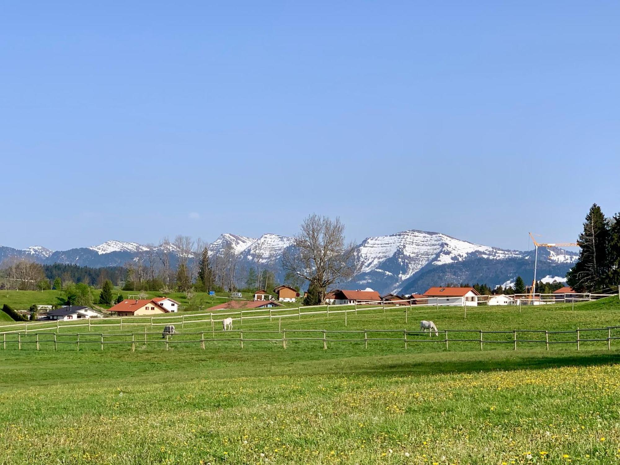 Lindners Hideaways - Bergnest Lodge - Bergblick Fewo 6 Pers Balkon Garten Hund Ski Unterkunft Luftkurort Oberreute Naehe Buchenegger Wasserfaelle Eistobel Bodensee 외부 사진