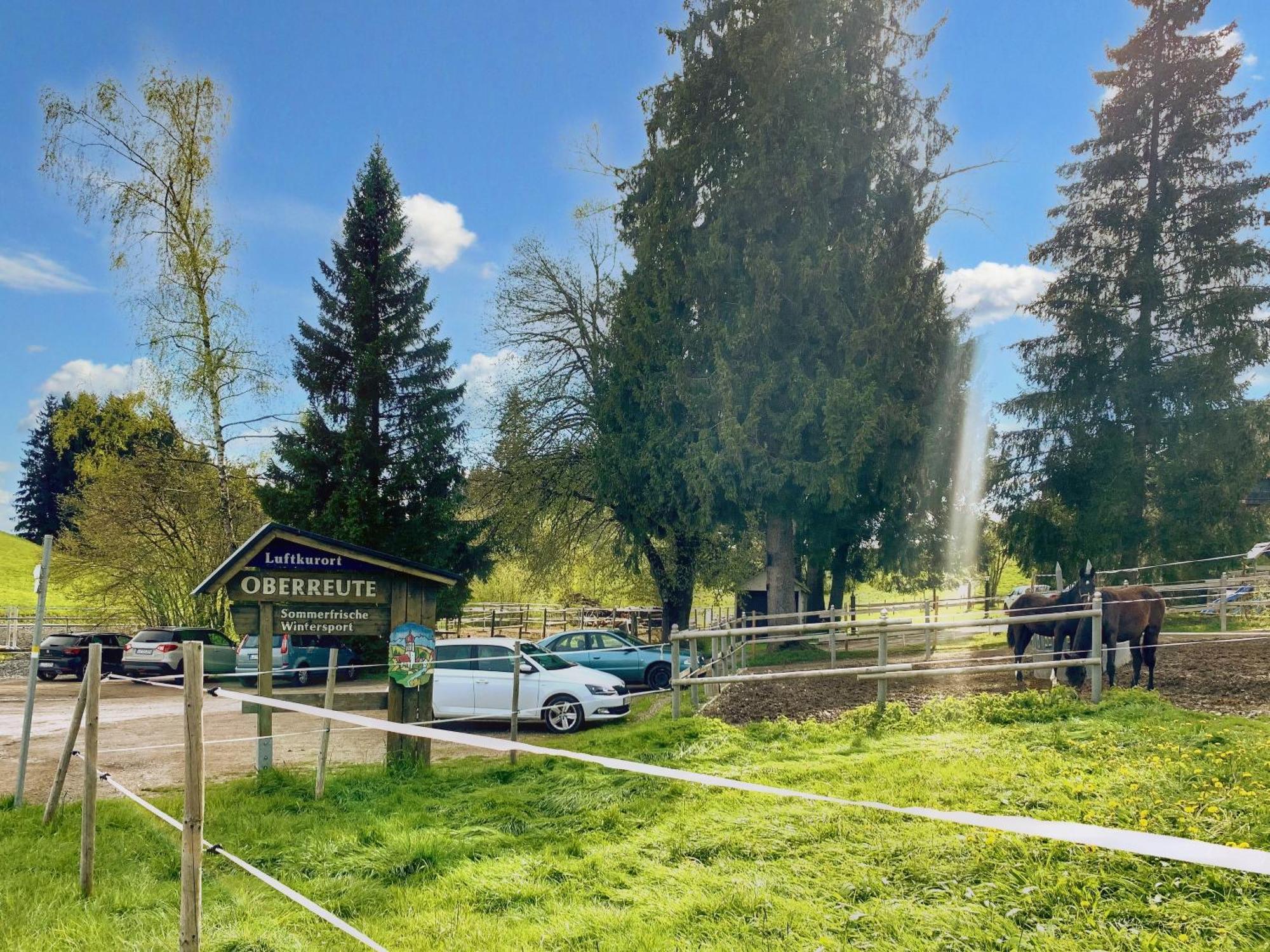 Lindners Hideaways - Bergnest Lodge - Bergblick Fewo 6 Pers Balkon Garten Hund Ski Unterkunft Luftkurort Oberreute Naehe Buchenegger Wasserfaelle Eistobel Bodensee 외부 사진