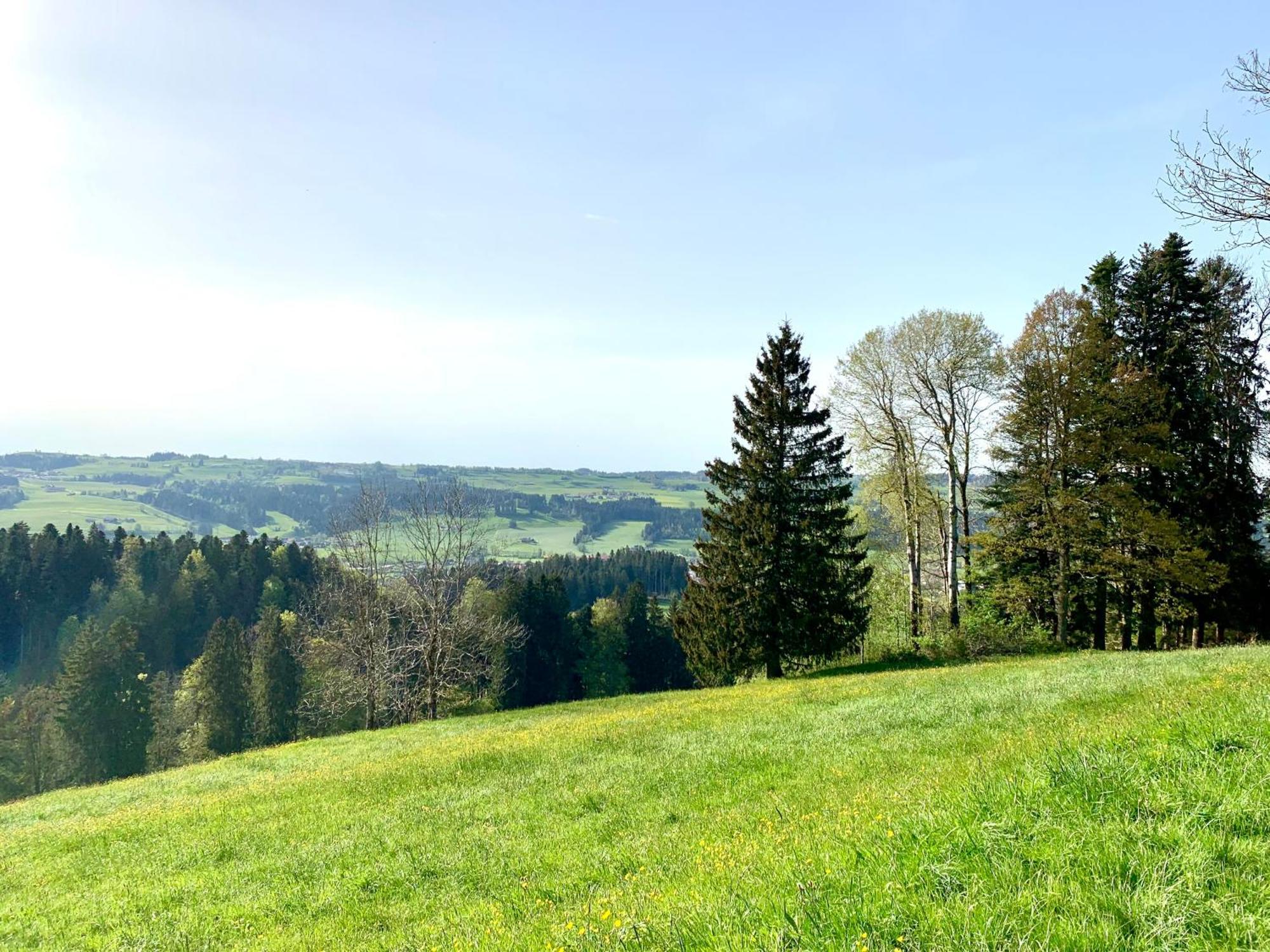Lindners Hideaways - Bergnest Lodge - Bergblick Fewo 6 Pers Balkon Garten Hund Ski Unterkunft Luftkurort Oberreute Naehe Buchenegger Wasserfaelle Eistobel Bodensee 외부 사진
